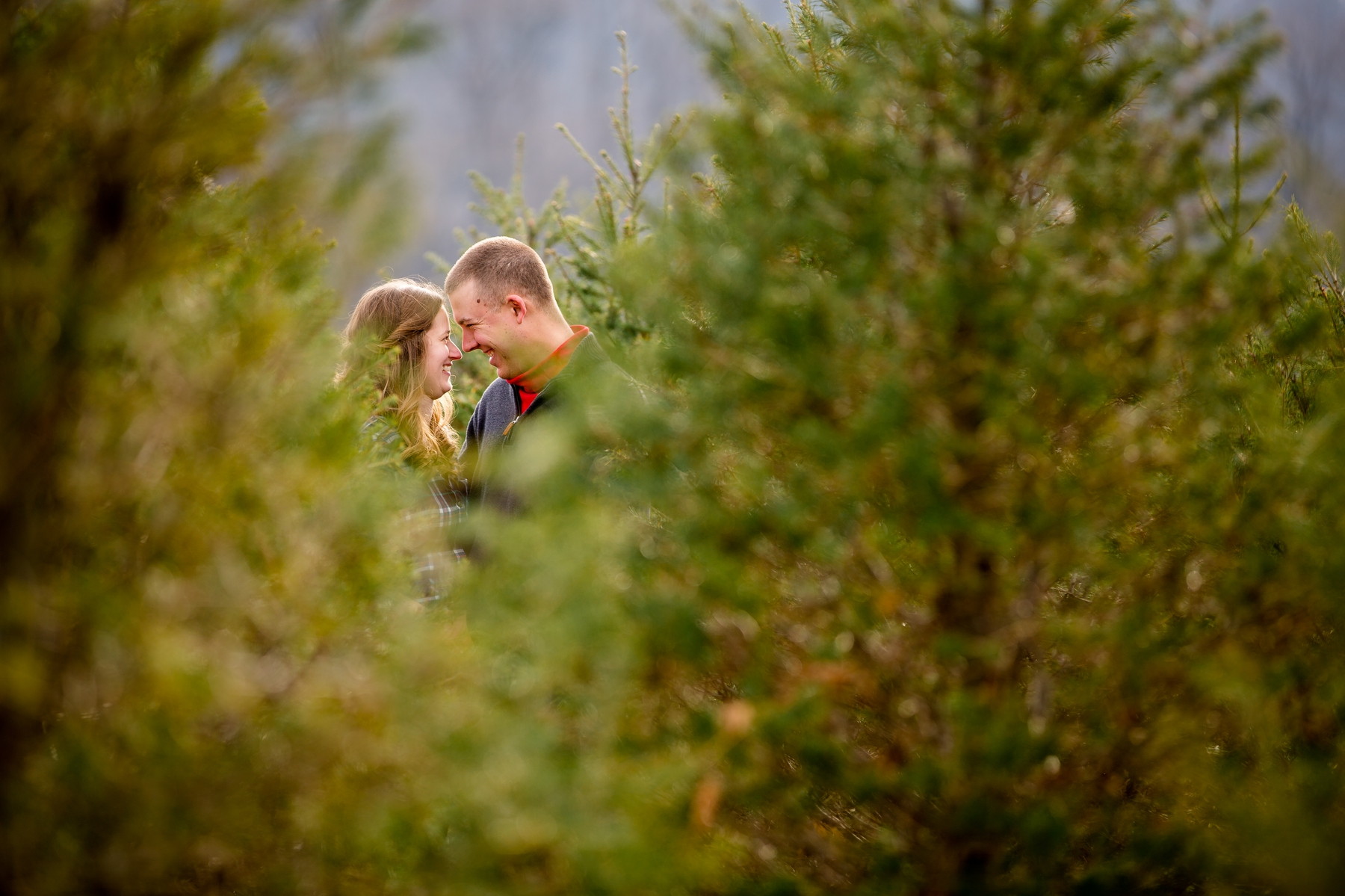 Eckler Christmas Tree Farm Couple Photography